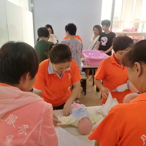 天津專業培訓課程指南 營養師、月嫂與催乳師培訓選擇與價格解析